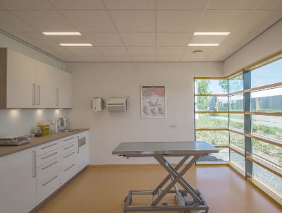 Diensten - Dierenkliniek de Waalsprong